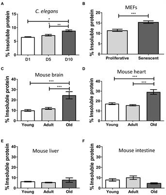 Extensive accumulation of misfolded protein aggregates during natural aging and senescence